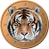 TGC Tigercoin